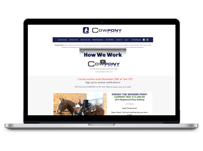Cowpony Sales – Horses For Sale