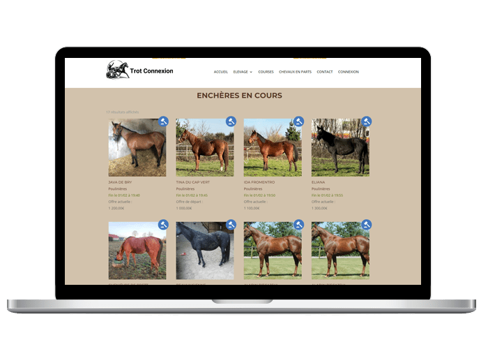 Trot Auctions